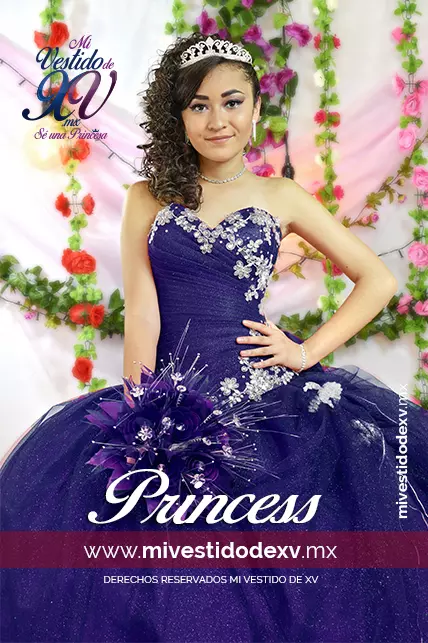 Vestido de quince años Princess